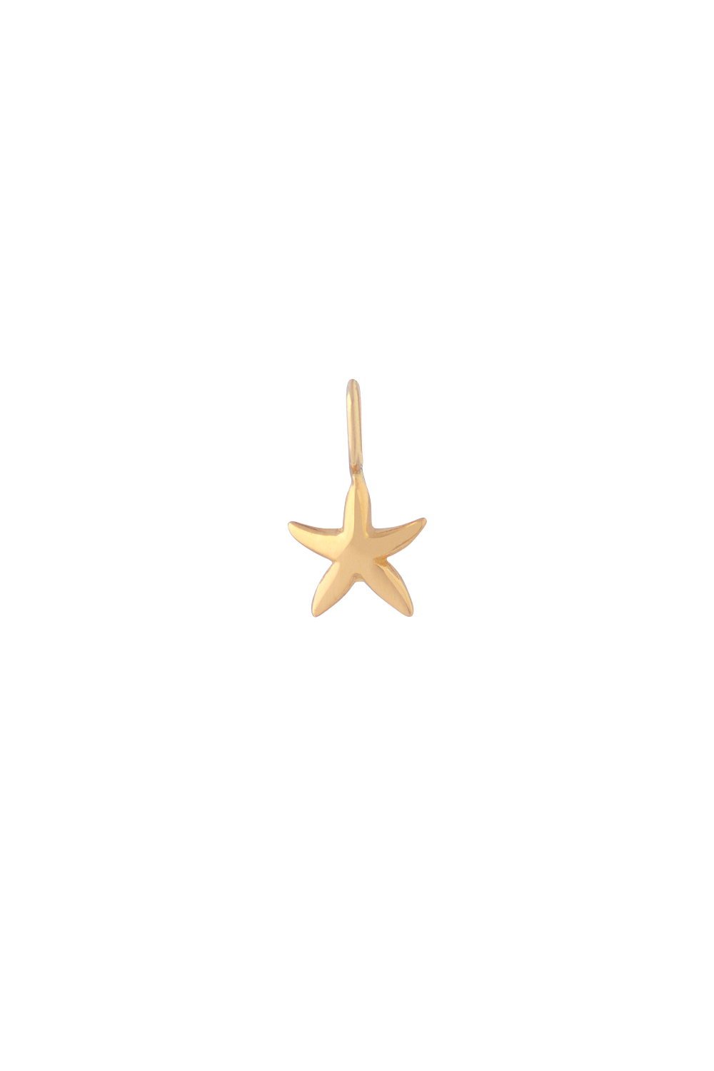 The Fine Gold You can be a Star Charm